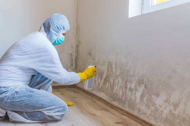 Mold Remediation specialist working in Sanford